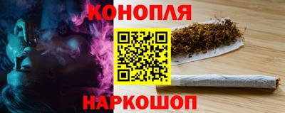 тгк Новокубанск