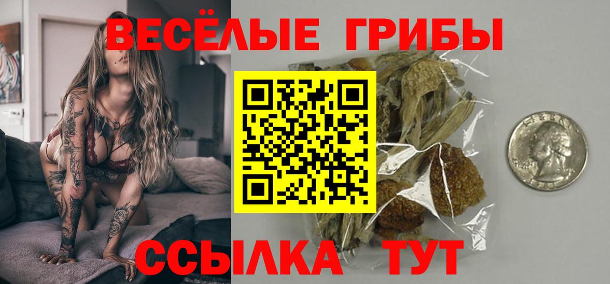 Псилоцибиновые грибы Psilocybine cubensis Тайшет